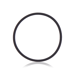 Back Camera Lens O-Ring Gasket For iPhone XR / 11 / 11 Pro / 11 Pro Max / 12 / 12 Mini / 12 Pro (100 Pack)
