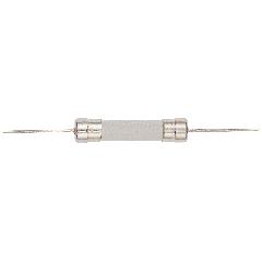 Fuse for Playstation 5 (T8A / H / 250V) (6MMx30MM) (Soldering Required)