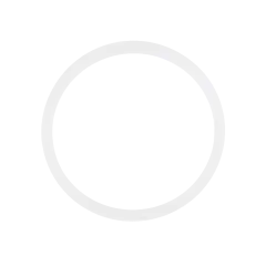 Back Camera Lens O-Ring Gasket For iPhone 8 / SE (2020) / SE (2022) (100 Pack)