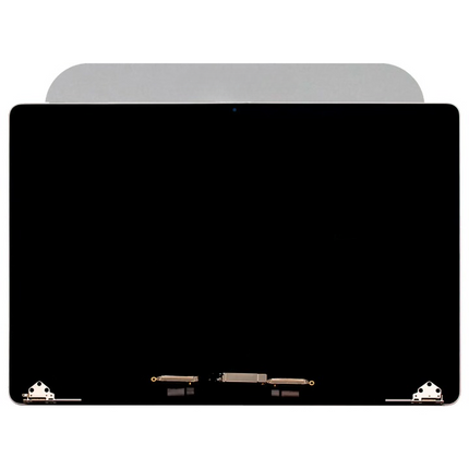 LCD & Digitizer | for: MacBook Pro 16" A2141 (Mid 2019) | Gray | Original Pull-A