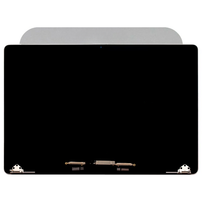 LCD & Digitizer | for: MacBook Pro 16" A2141 (Mid 2019) | Gray | Original Pull-A